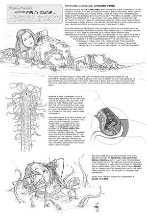 Field Guide: Catcher Vines